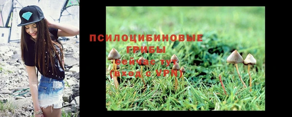 круглые Богородицк