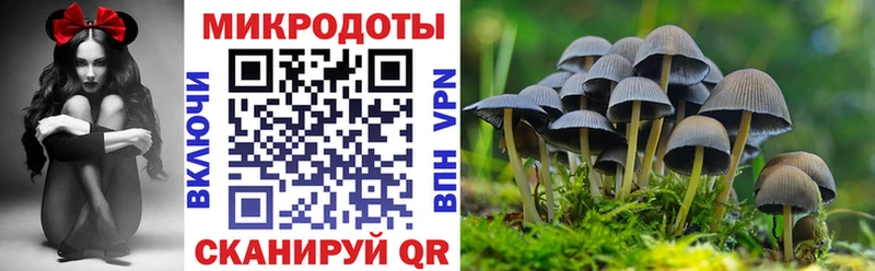Псилоцибиновые грибы Psilocybe  Владивосток 